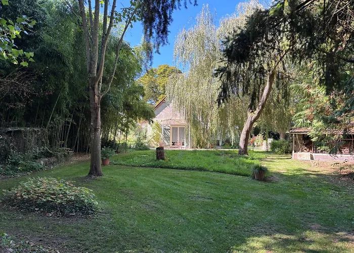 La Haute Trémière